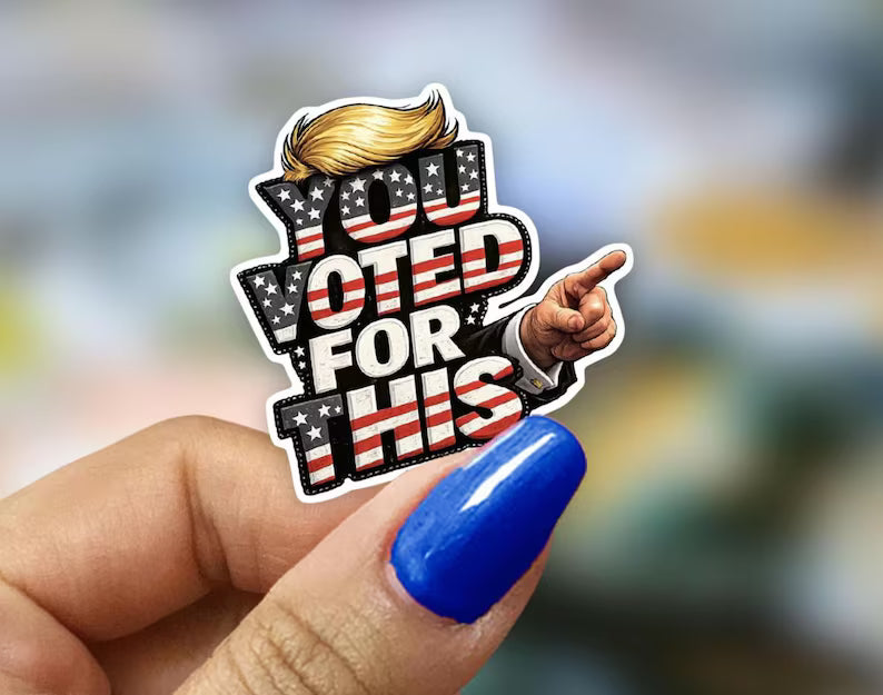 You Voted For This Sticker – Funny Political Satire Decals
