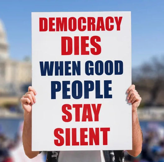 No Kings Day Protest Sign, Save Democracy Rally Poster, Abolish ICE Political Protest Sign
