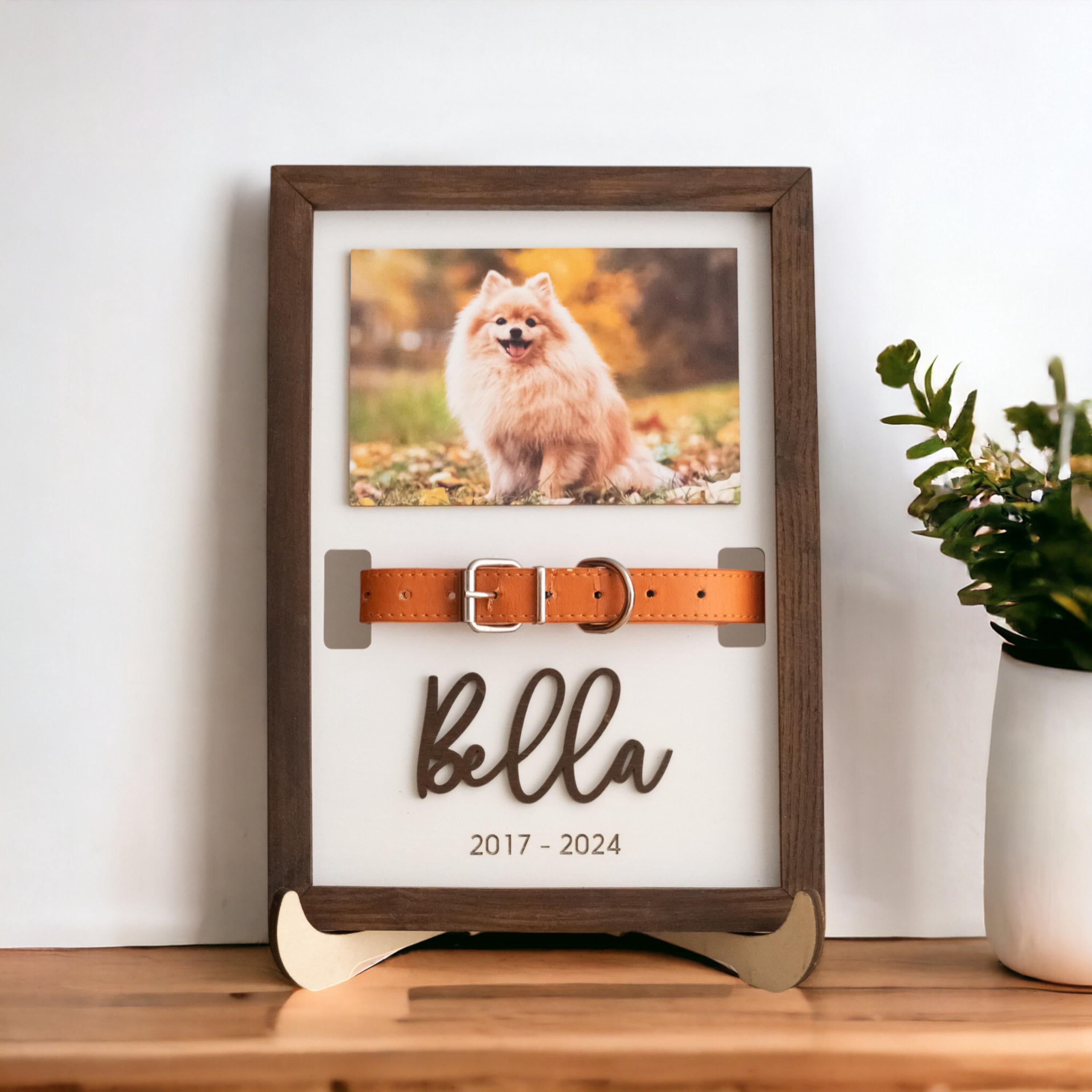 Pet Memorial Collar Holder, Remembrance Frame, Pet Memorial Picture, Gift For Pet Loss, Cat Memorial, Dog Collar Holder
