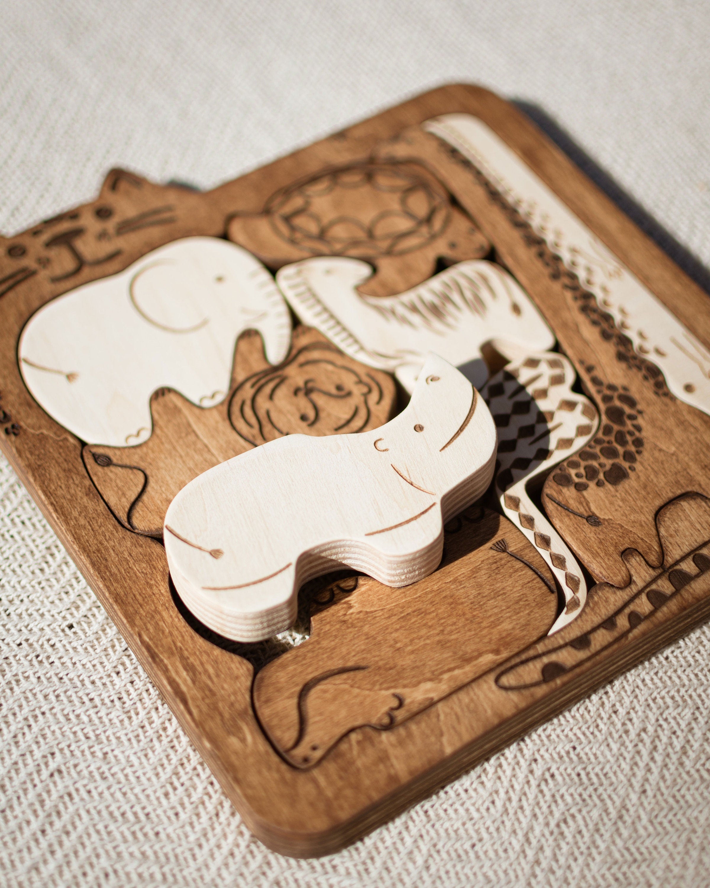 Wooden Brain Teaser Puzzle For Baby Toddler Wood Kids Toys Developmental Toy