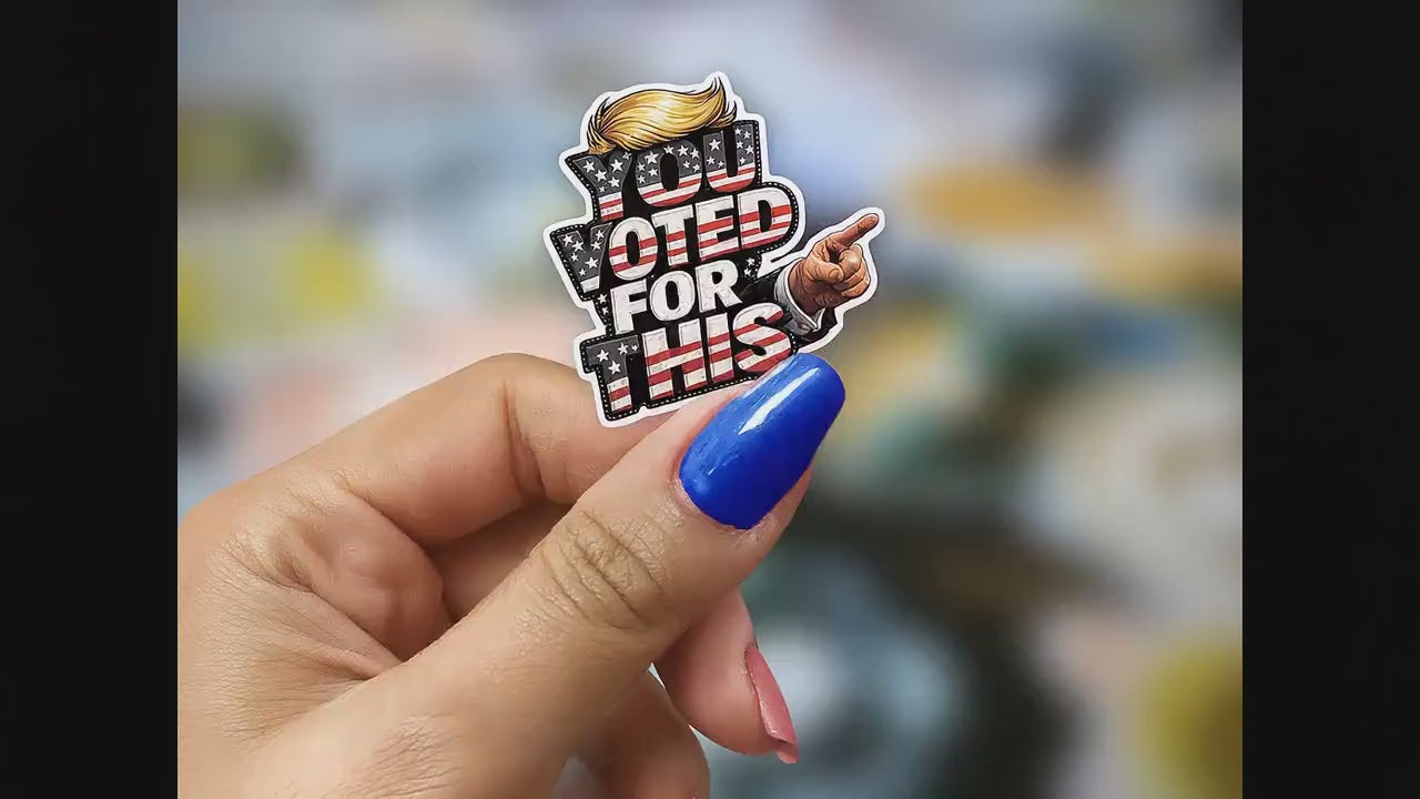 You Voted For This Sticker – Funny Political Satire Decals